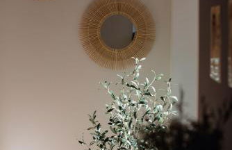 L'ulivo e il colibrì - Foto 32