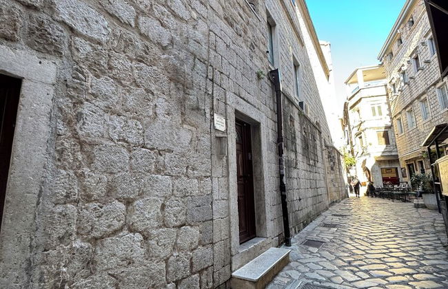 Vita Mundo - Foto 55