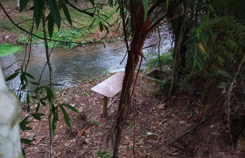 Sitio Casa na Árvore - Photo 4