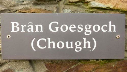 Bran Goesgoch - Foto 2