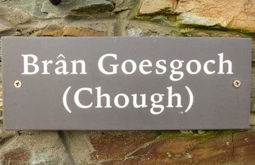 Bran Goesgoch - Foto 2