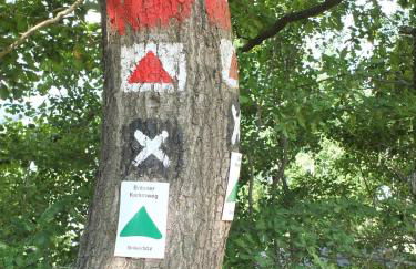 Ferienwohnung Panorama II - Foto 30