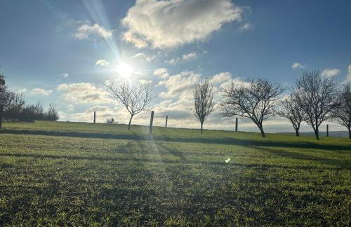 Grande Maison dans la nature et le calme - Foto 25
