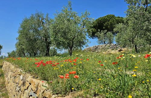 Guest House Manufacto - Foto 34