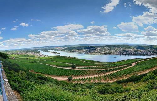 Fewo Zum Malerwinkel - Rüdesheim - Foto 9