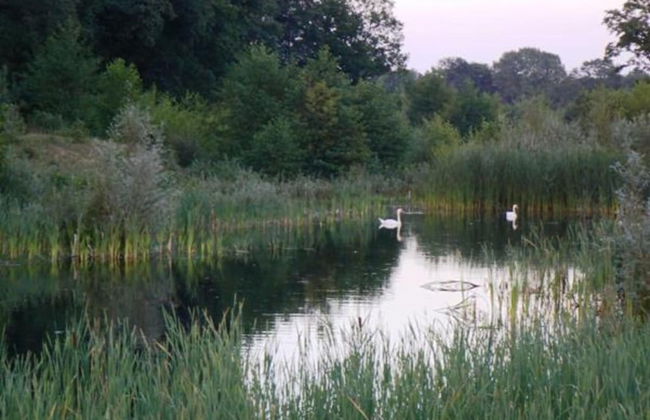 Stylish Escape in Enter - Foto 43