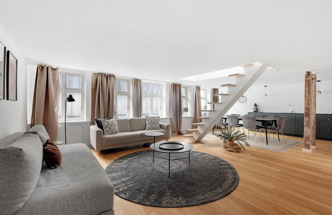 Regent 5 - Large Apt With Terrace Right in Centre of Copenhagen - Foto 5