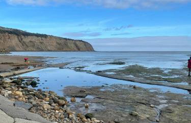 Robin Hood's Bay Coastguard's Cottage with a View - Foto 51