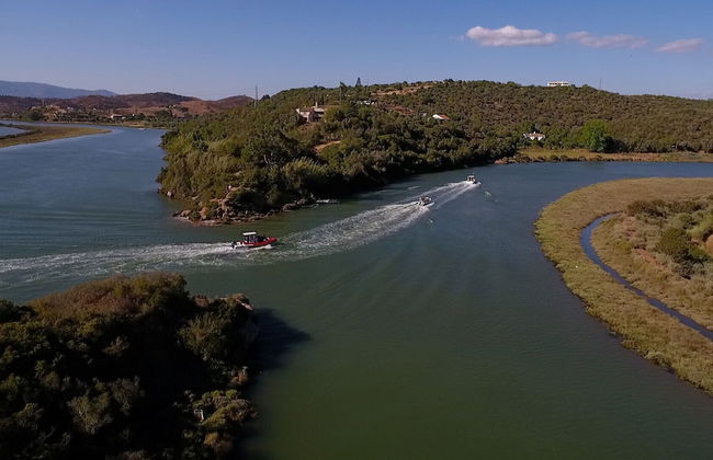 Villa Mónaco - Foto 31