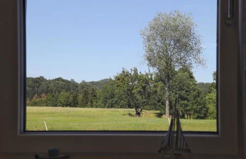 Auszeit mit Weitblick in der Sächsischen Schweiz - kleiner Bauernhof mit Tieren und Wallbox - Foto 29