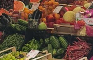 Casa Lucia 5th Floor - Photo 26