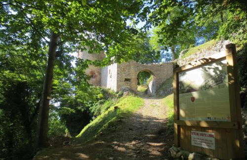 La Maison des Fontaines D'alsace - Foto 11