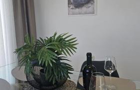 LOOK Smokvica Pag Apartmani - Foto 35