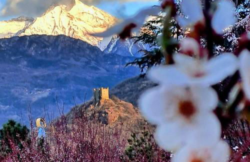 La Maison de Joanna 3 - Foto 1