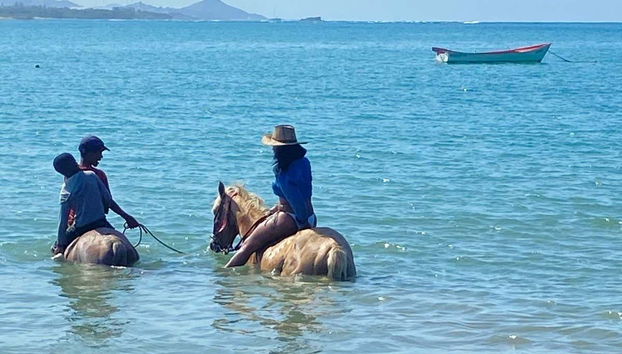 Puerto Plata Beach Horseback Ride - Photo 5