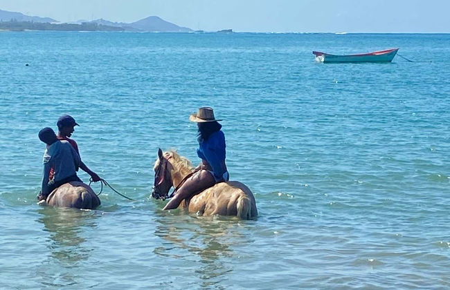 Paseo a caballo por la playa de Puerto Plata - Foto 5