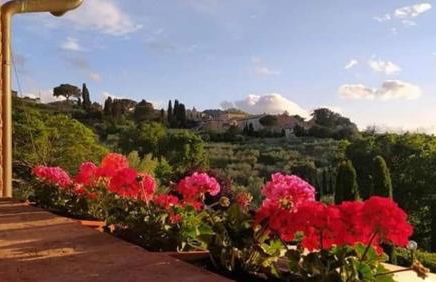 LEONÄRDO Guests House - LT Locazione Turistica - Foto 23