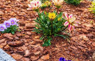 Castra Garden House Thessaloniki - Foto 25