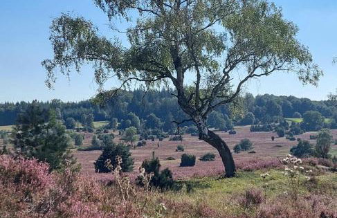 Haus Petersen - Foto 34