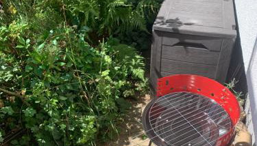 Lilo Luisa - Photo 4