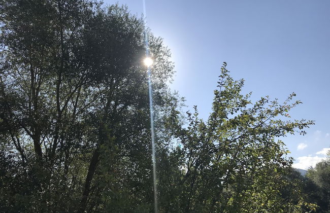 Oasi del Vetoio - Photo 21