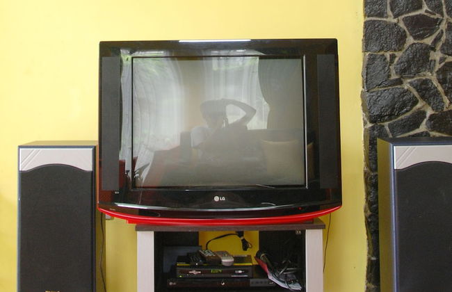 Villa ChavaMinerva Istana Bunga-Lembang - Photo 11