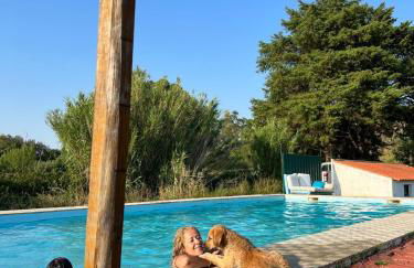 Santuário SOS Animal - Foto 16