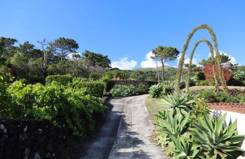 Mar D'Abstração - Photo 59