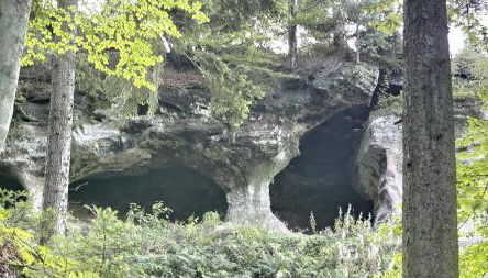 Amstadt's Birkenfels - Foto 5