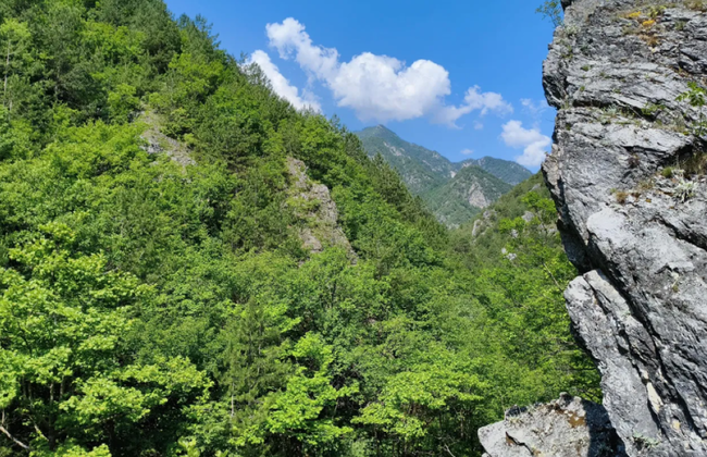 Tesalónica: Excursión a los baños termales de Pozar y las cascadas de Edesa - Foto 5