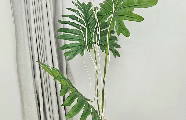 The Infinity - Foto 65