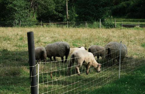 Gîte de l'Abbaye de l'Étanche - Foto 5