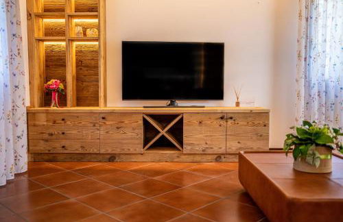 GATTO IN VIGNA - Foto 36