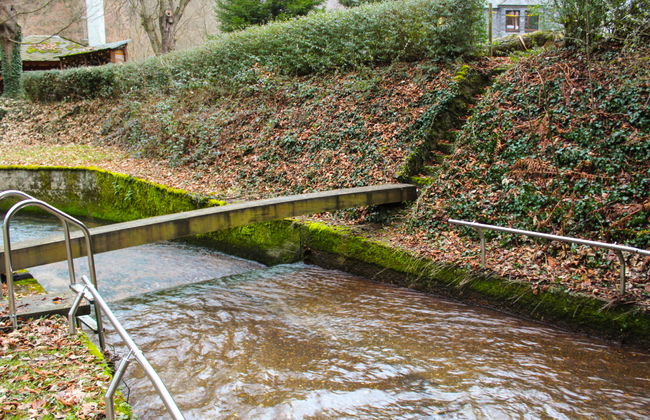 1 bedroom Apartment in Traben-Trarbach with garden and terrace - Photo 26