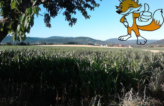 Monteurwohnung Langelsheim max 5 Personen - Foto 1