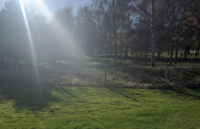 Willowbarn Self-Catering Rafford - Foto 15