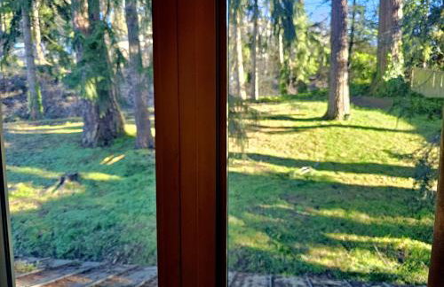 Private 2BR Amazing Lake Sammamish Views - Foto 12