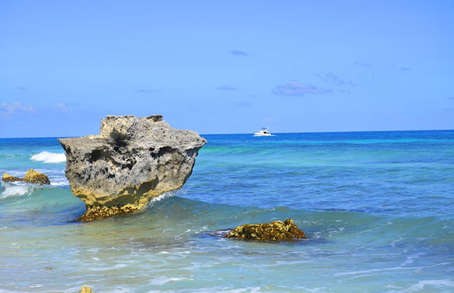 Amigo Rental Isla Mujeres - Foto 1