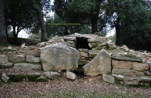 Sa Omu 'Eccia - Foto 42