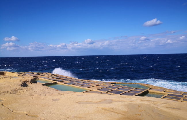 Casa Laeta - Foto 33