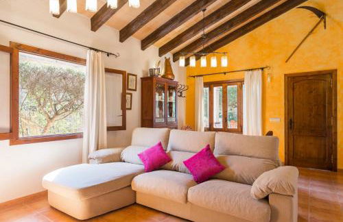 Alga Marina - Foto 9