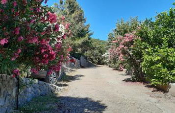 Kapetaniou Apartments - Foto 49