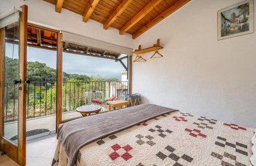 Horta Do Zé Miguel - Foto 40