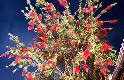 Apart Hotel Angra dos Reis II - Foto 36