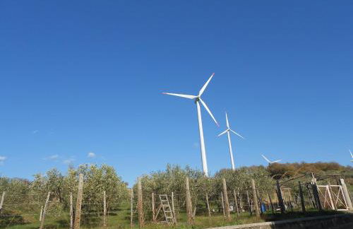 il sentiero del riccio - Foto 6