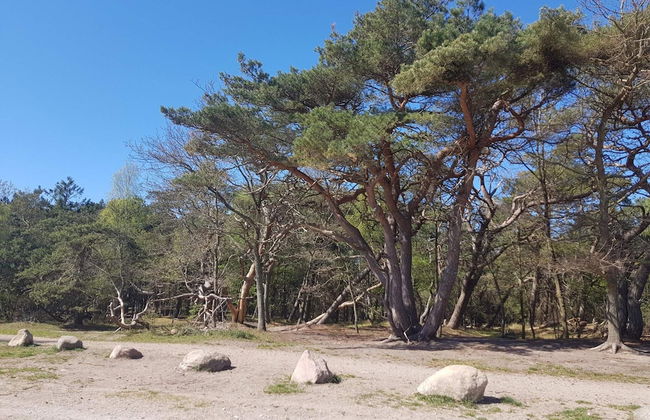 8 Person Holiday Home in Melby-by Traum - Foto 22