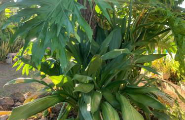 Casa Savana - Foto 54