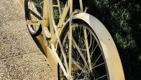 casadaeiradeangeja - Foto 4, Garden