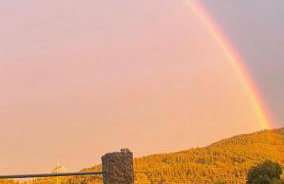 Ferienhof Kohler - Foto 33