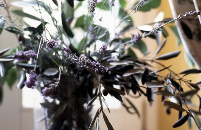 Agriturismo Uliveto Saglietto - Photo 41